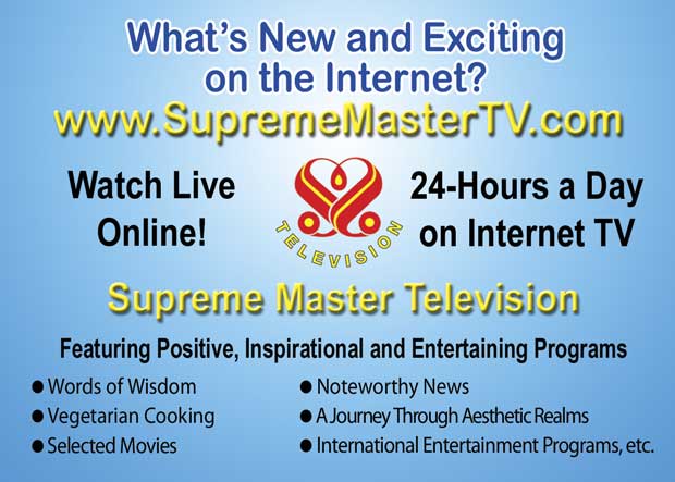 What’s New and Exciting on the Internet? “Supreme Master Television”